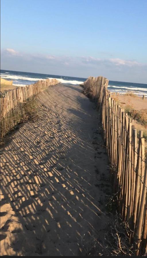 Mas Pineii 2 - Viu Be Lägenhet Torroella de Montgrí Exteriör bild